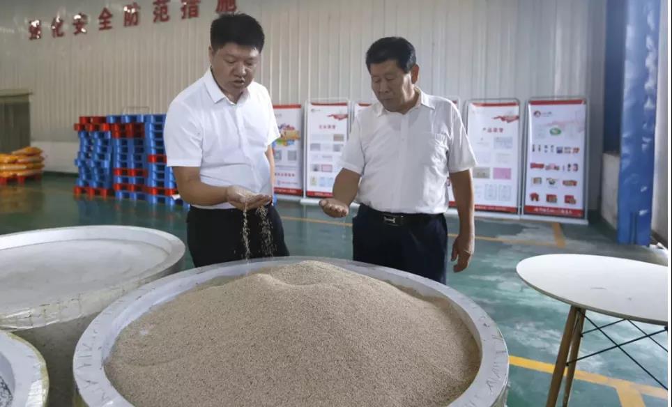 精品久久久久久无码人妻