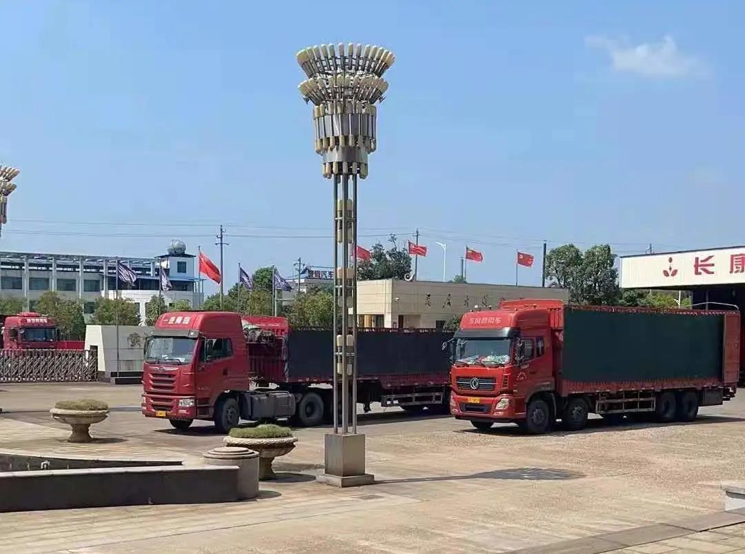 精品久久久久久无码人妻