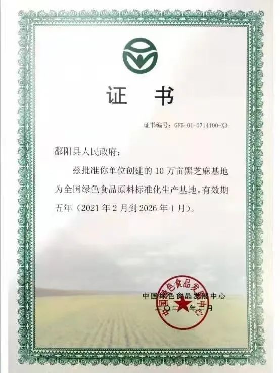 精品久久久久久无码人妻