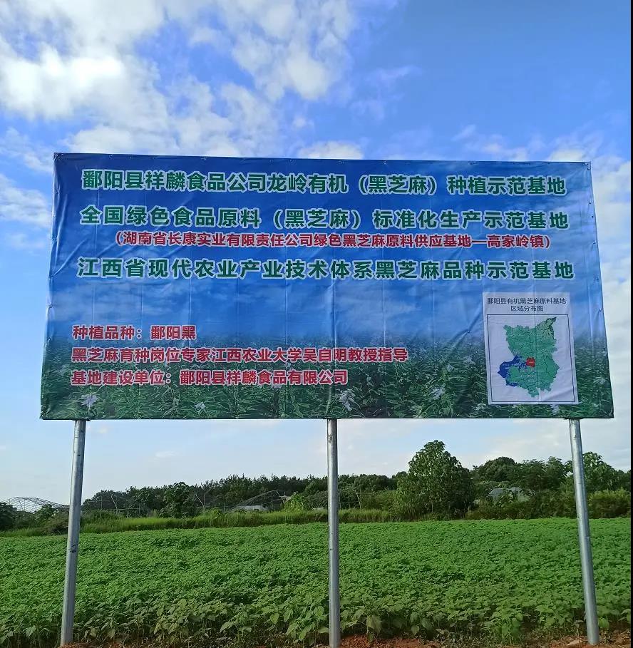 精品久久久久久无码人妻