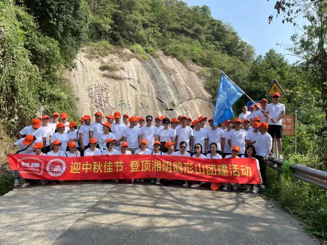 精品久久久久久无码人妻