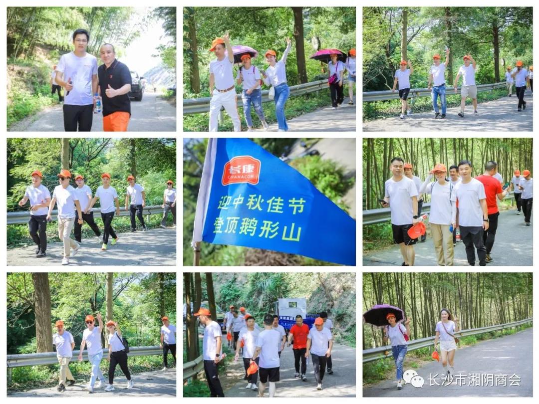 精品久久久久久无码人妻