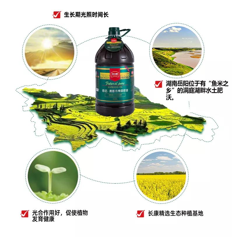 精品久久久久久无码人妻