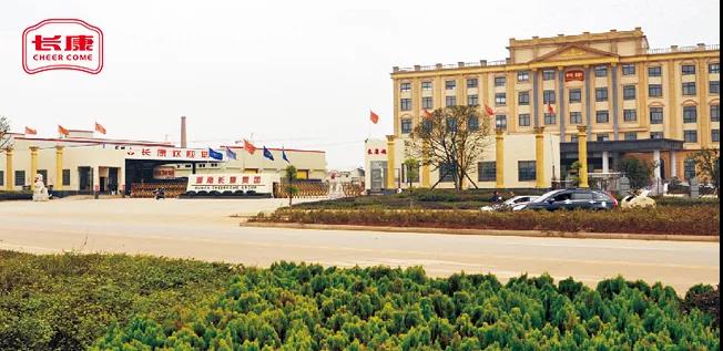 精品久久久久久无码人妻