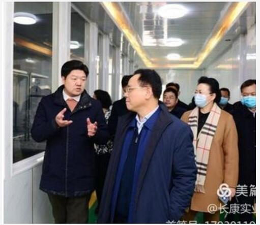 精品久久久久久无码人妻