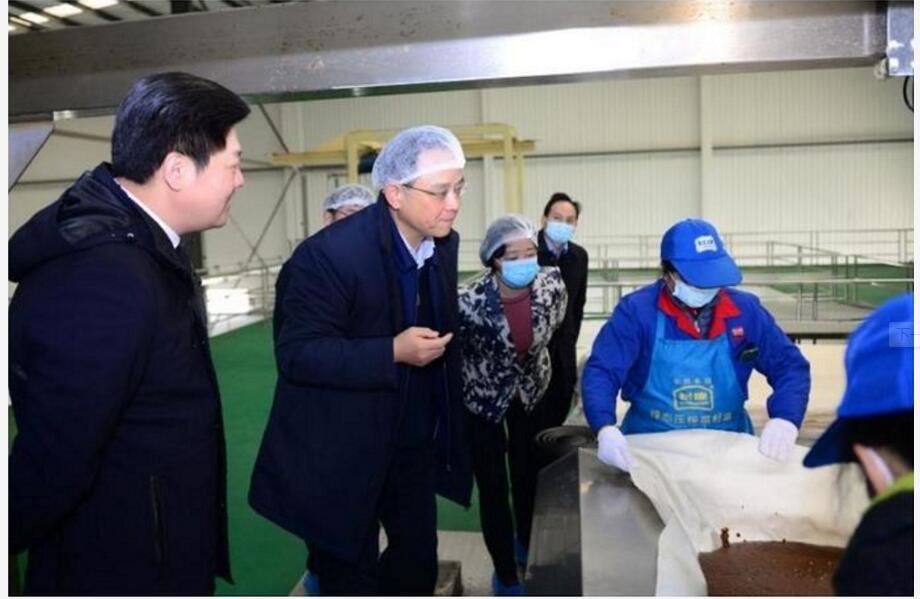 精品久久久久久无码人妻