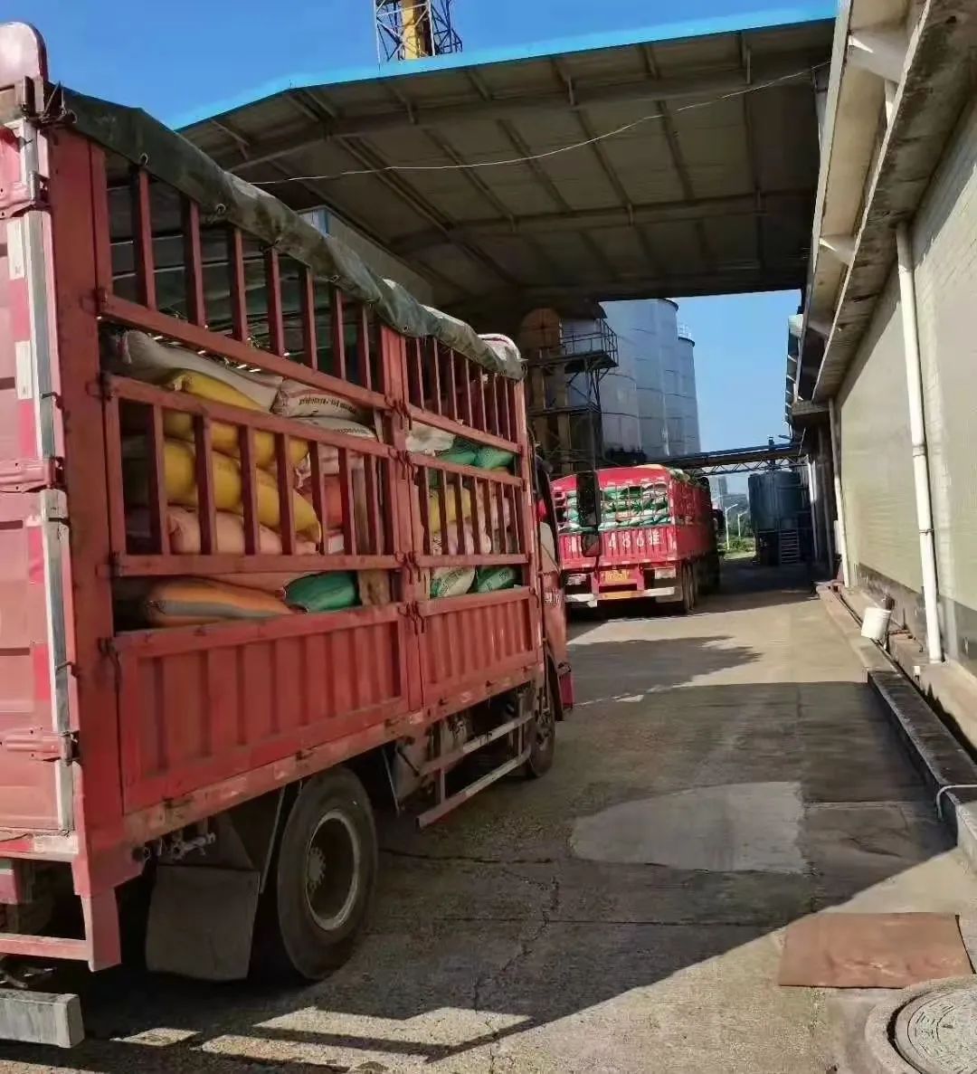 精品久久久久久无码人妻