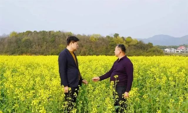 精品久久久久久无码人妻