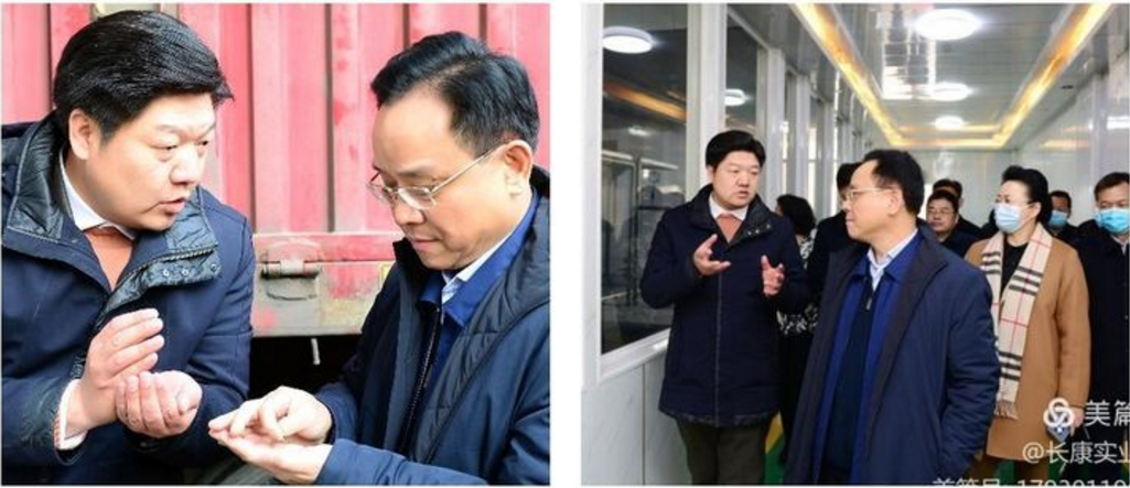 精品久久久久久无码人妻