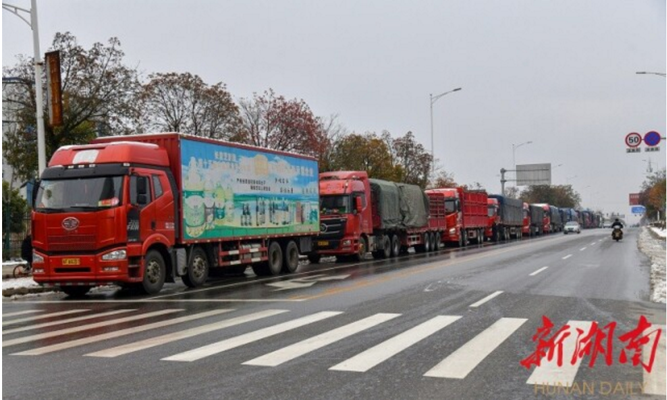 精品久久久久久无码人妻