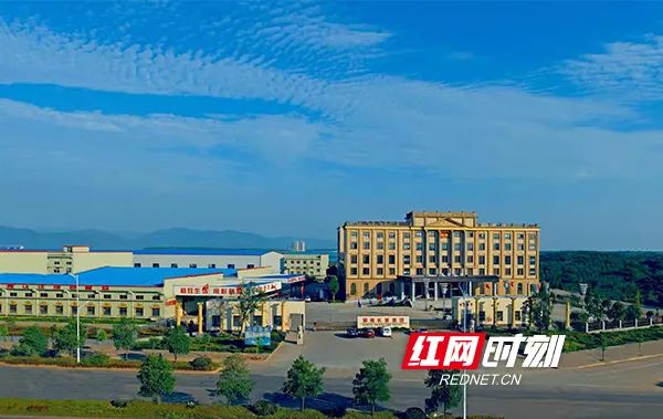 精品久久久久久无码人妻