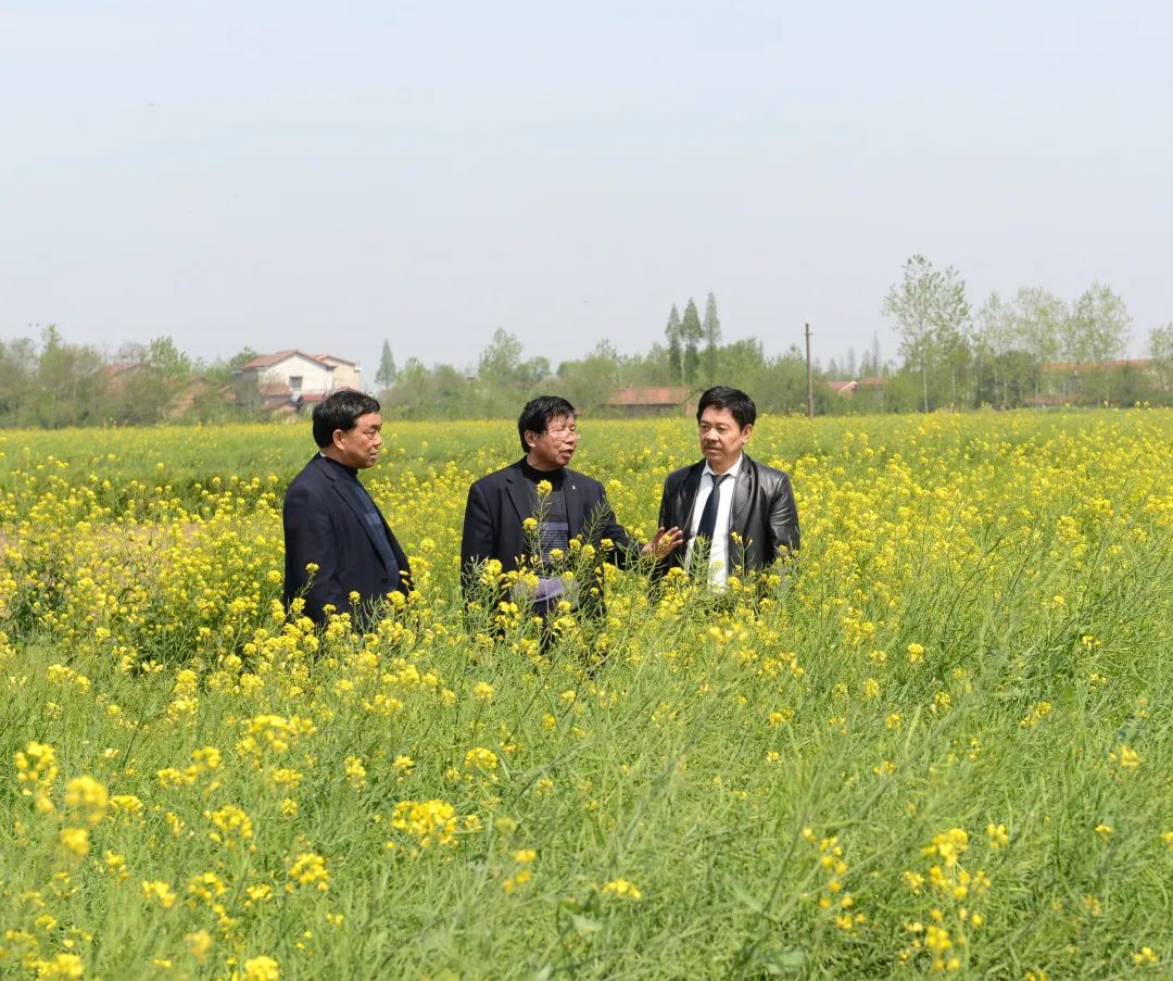 精品久久久久久无码人妻