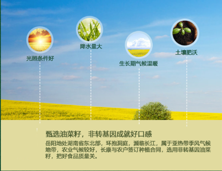 精品久久久久久无码人妻