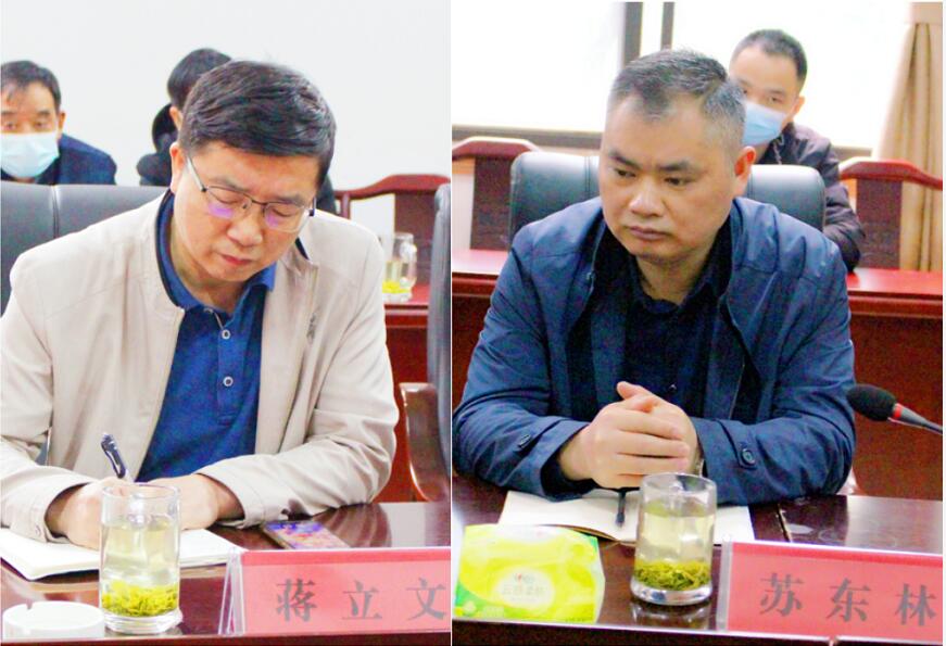 精品久久久久久无码人妻