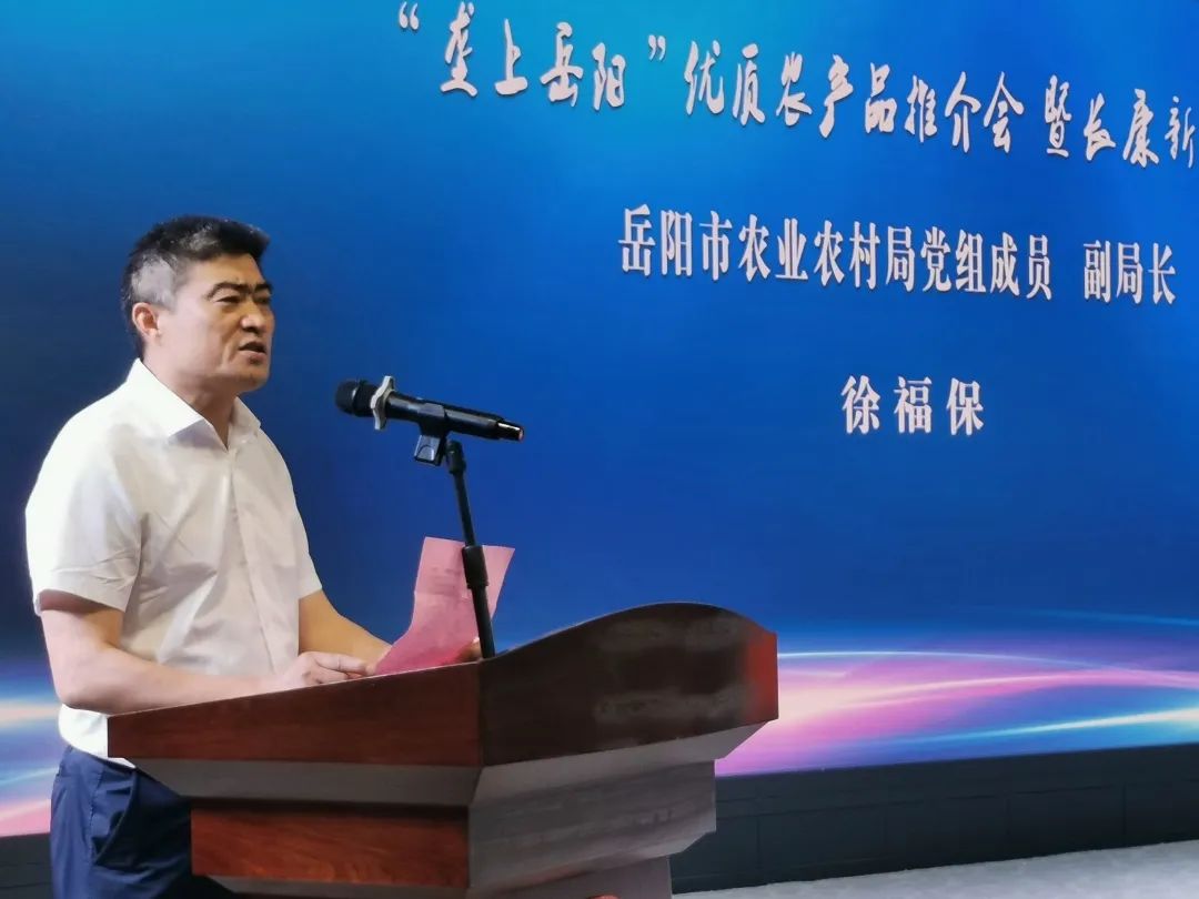 精品久久久久久无码人妻