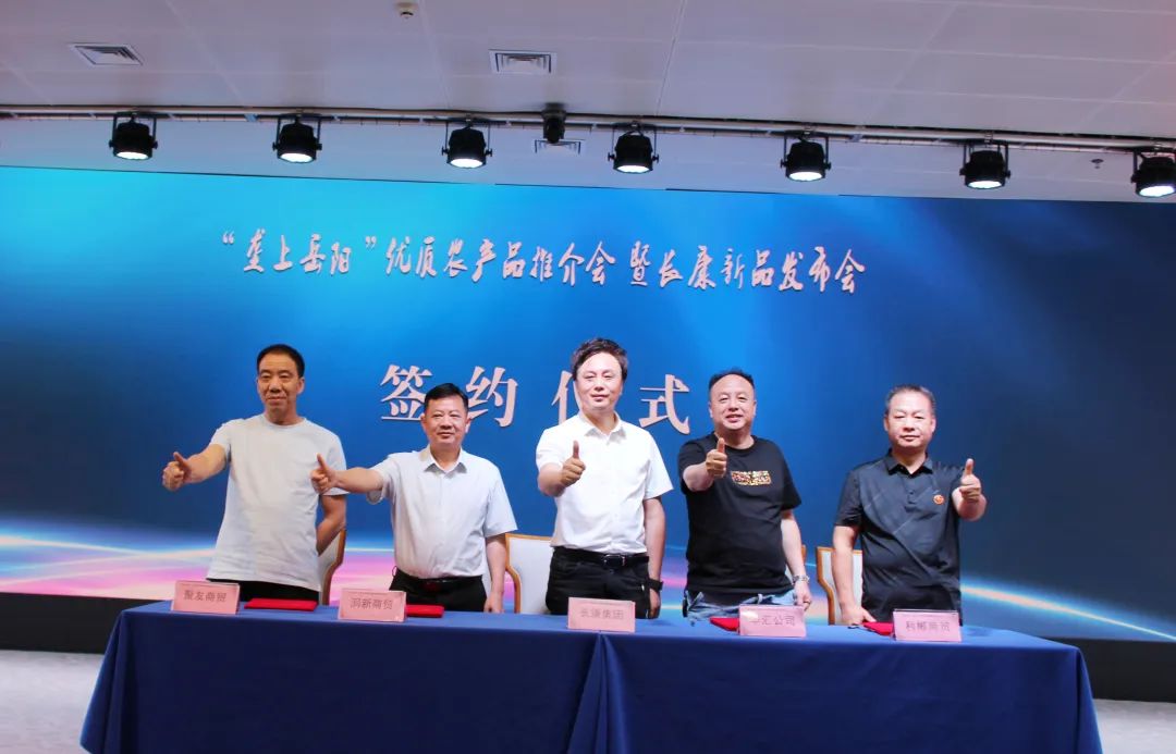 精品久久久久久无码人妻