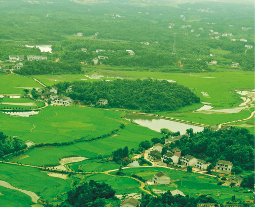 精品久久久久久无码人妻