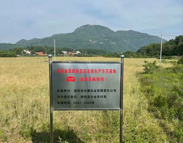 精品久久久久久无码人妻