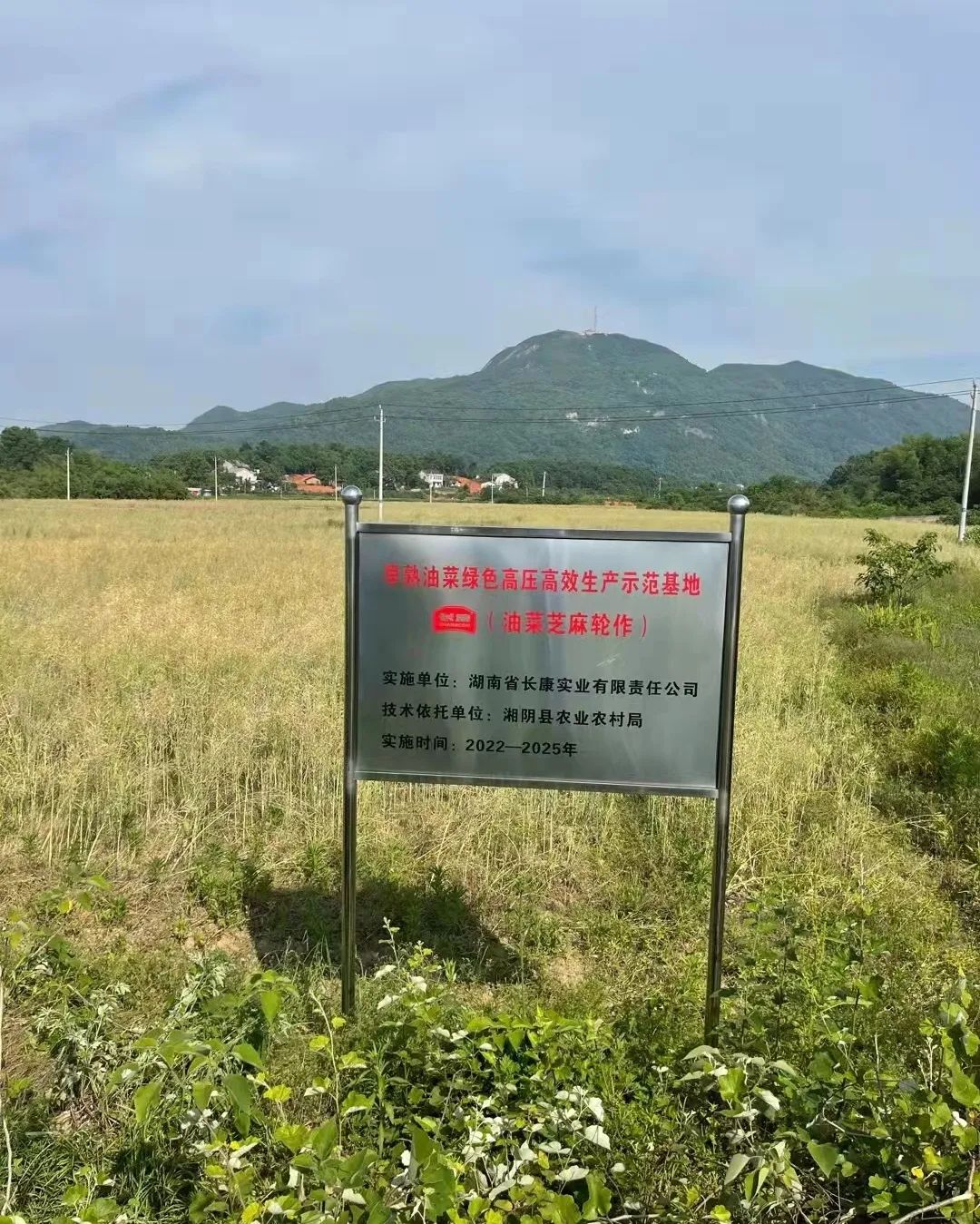 精品久久久久久无码人妻