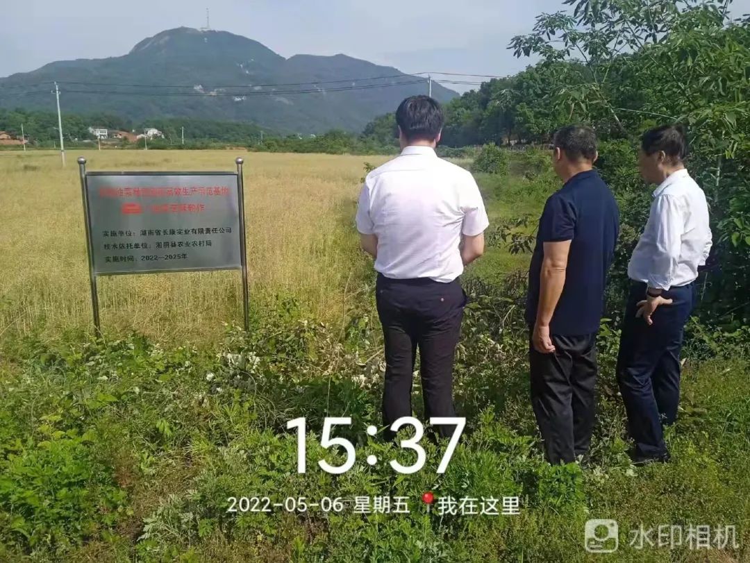 精品久久久久久无码人妻