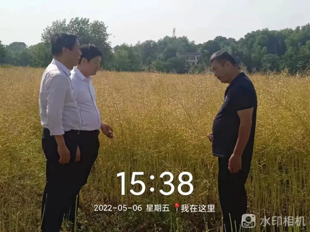 精品久久久久久无码人妻