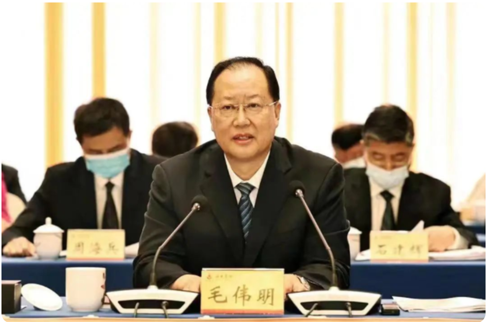 精品久久久久久无码人妻