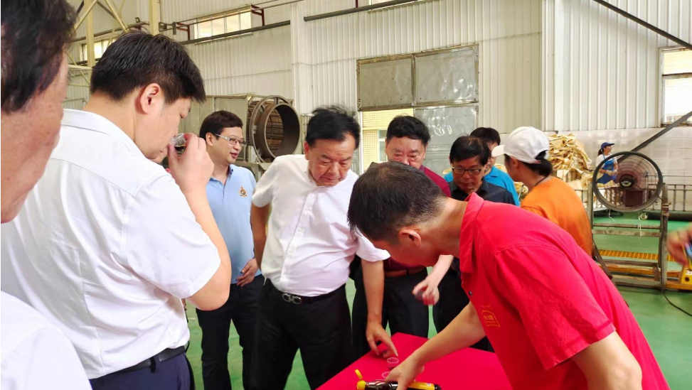 精品久久久久久无码人妻