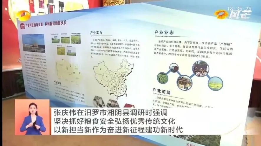 精品久久久久久无码人妻