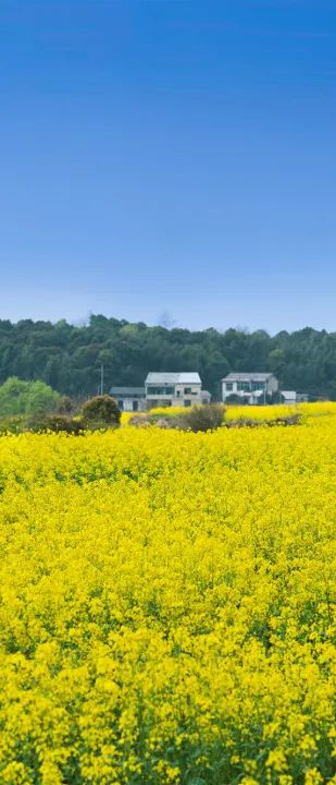 精品久久久久久无码人妻