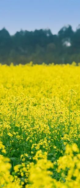 精品久久久久久无码人妻