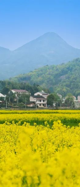 精品久久久久久无码人妻