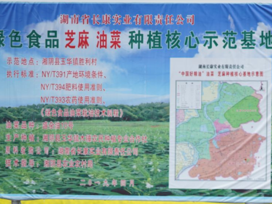 精品久久久久久无码人妻