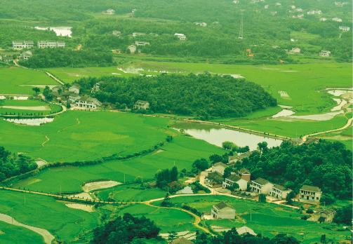 精品久久久久久无码人妻