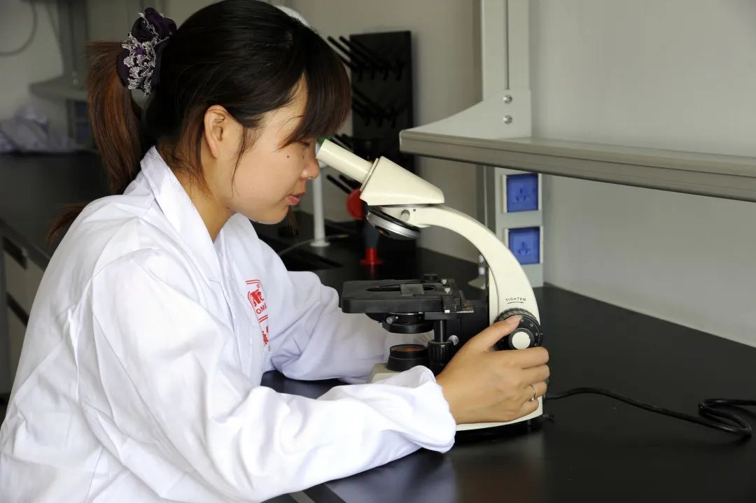 精品久久久久久无码人妻