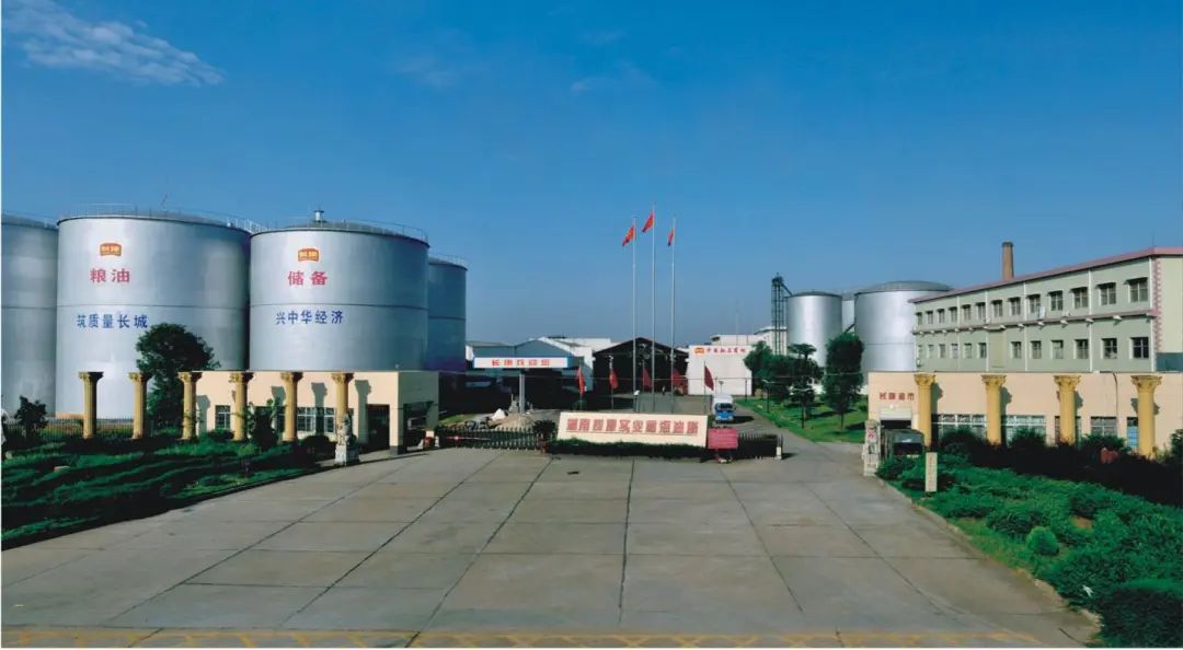 精品久久久久久无码人妻