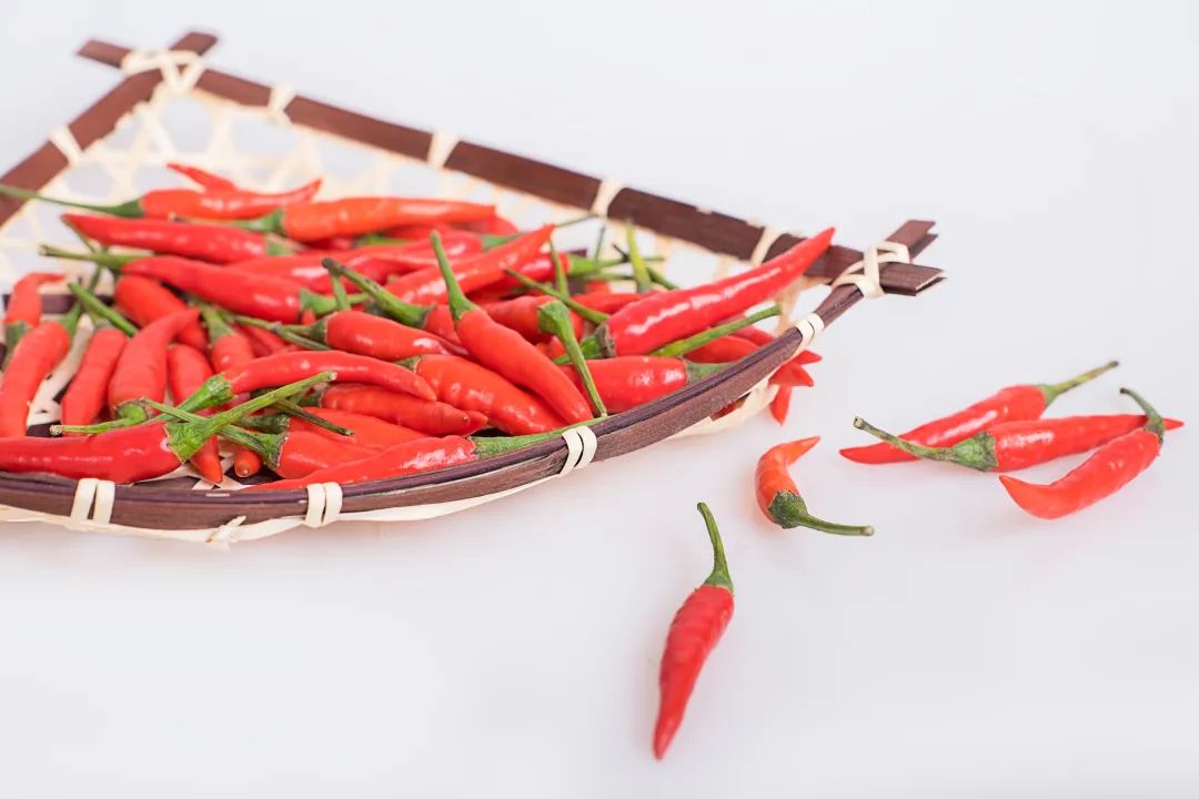 精品久久久久久无码人妻