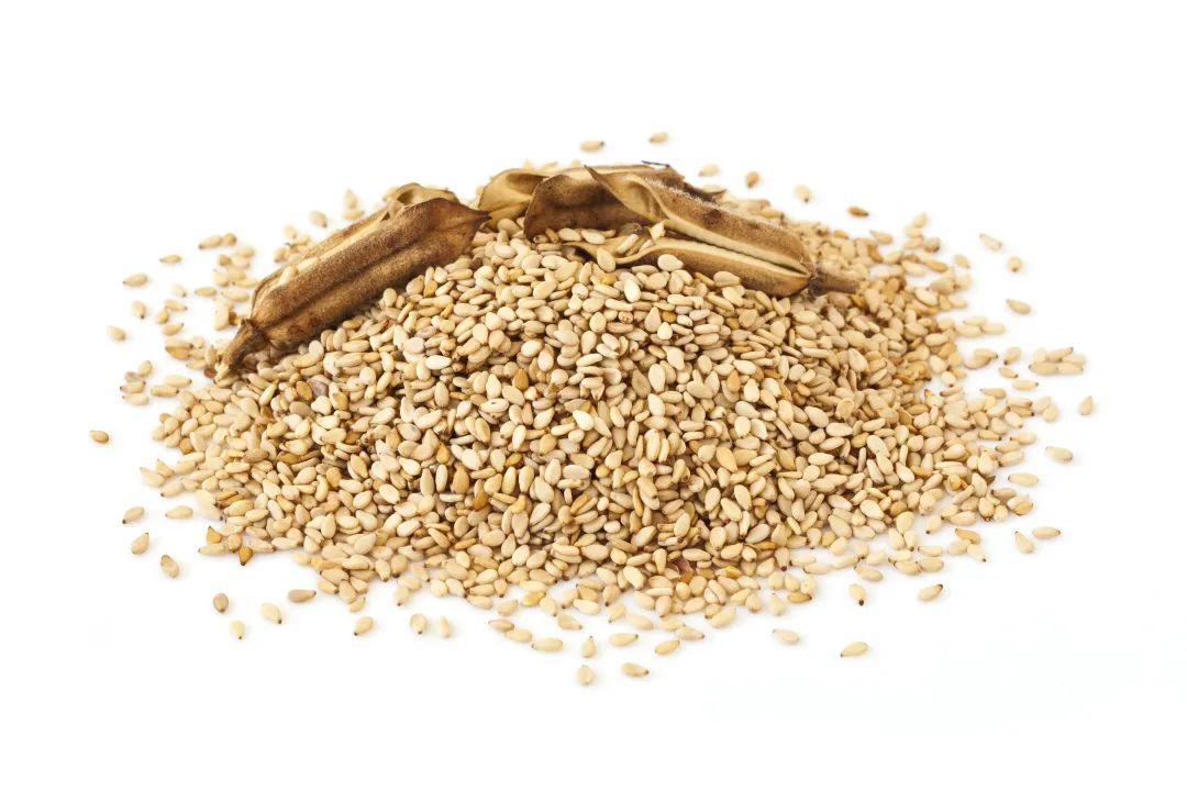 精品久久久久久无码人妻