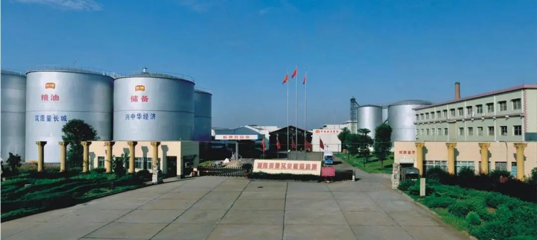 精品久久久久久无码人妻