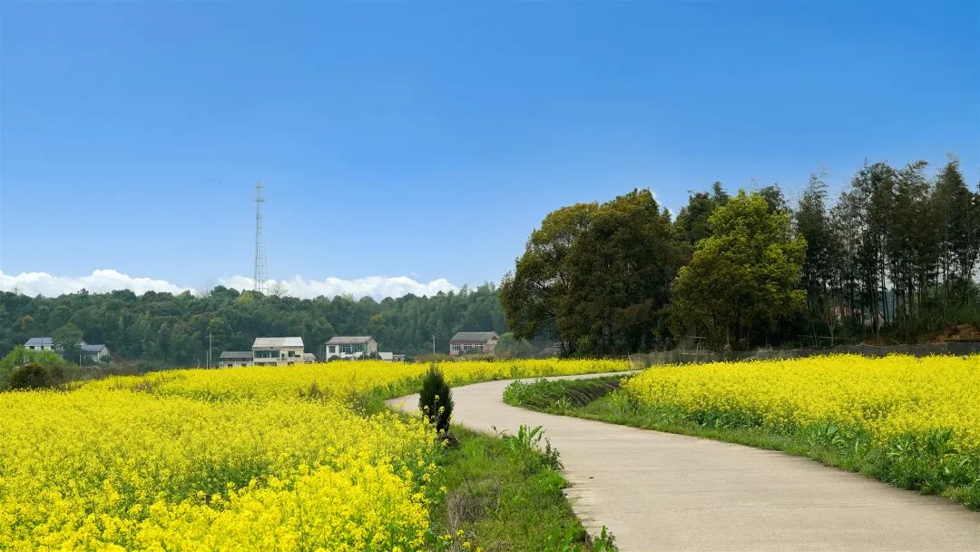 精品久久久久久无码人妻