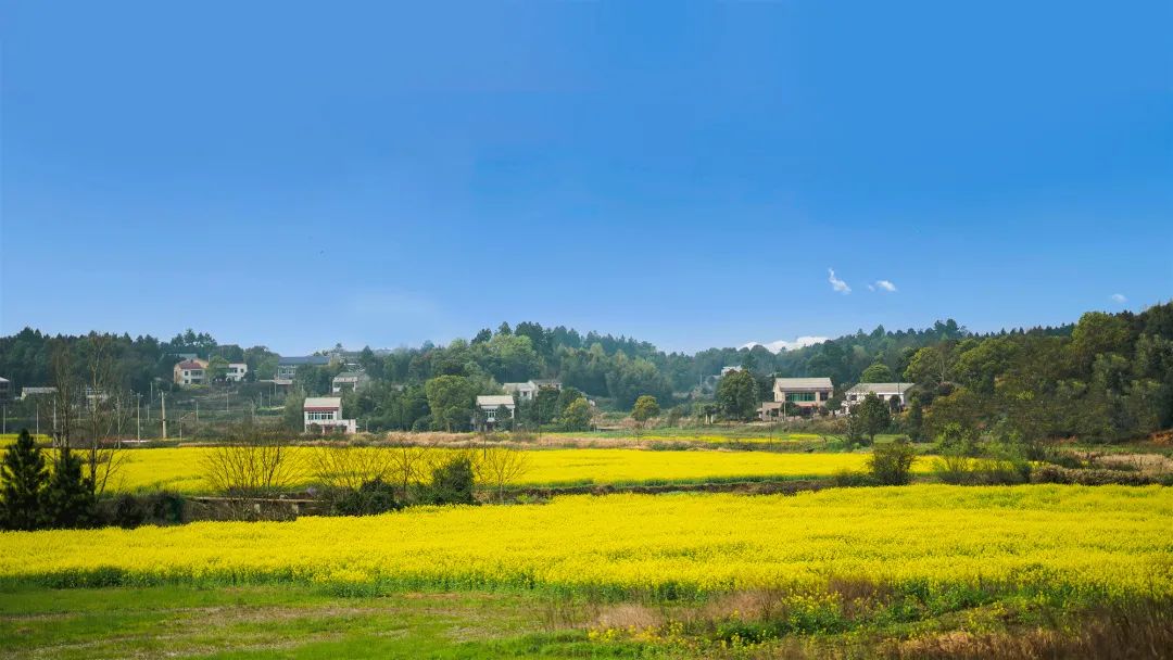 精品久久久久久无码人妻