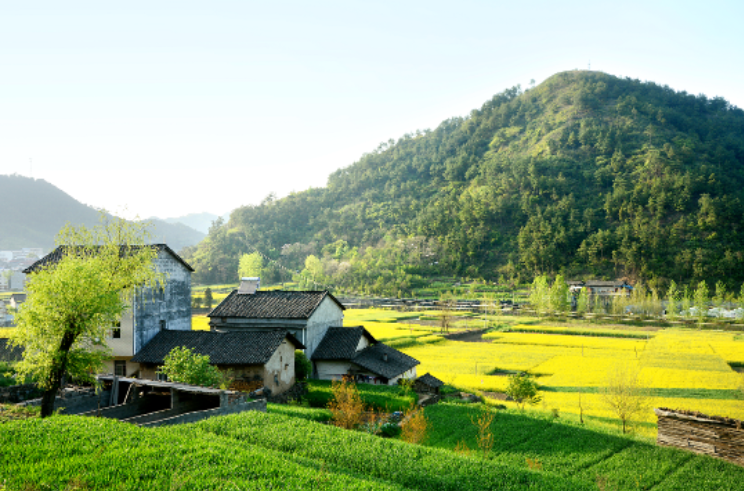 精品久久久久久无码人妻