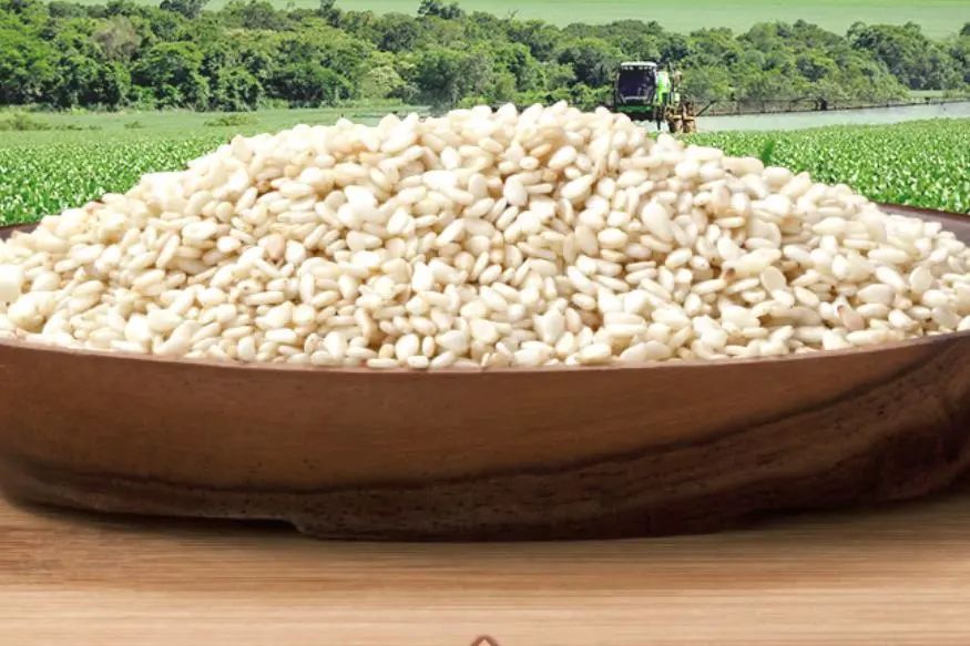 精品久久久久久无码人妻