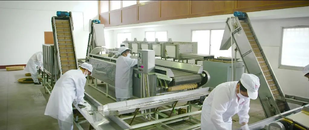 精品久久久久久无码人妻