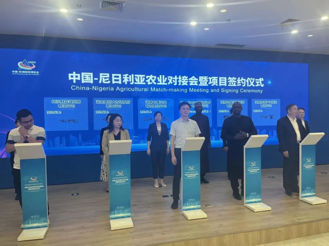 精品久久久久久无码人妻