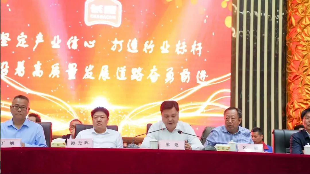 精品久久久久久无码人妻