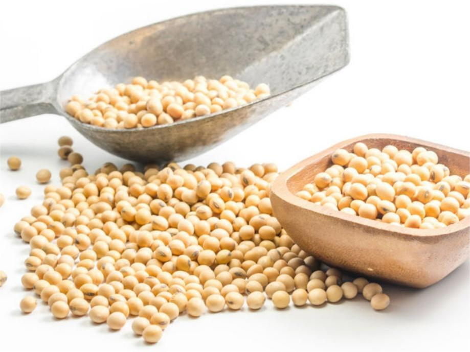 精品久久久久久无码人妻