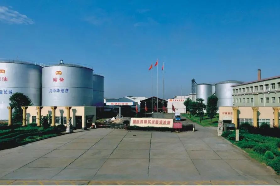 精品久久久久久无码人妻