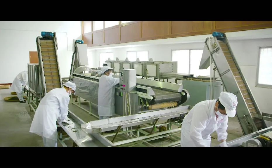 精品久久久久久无码人妻