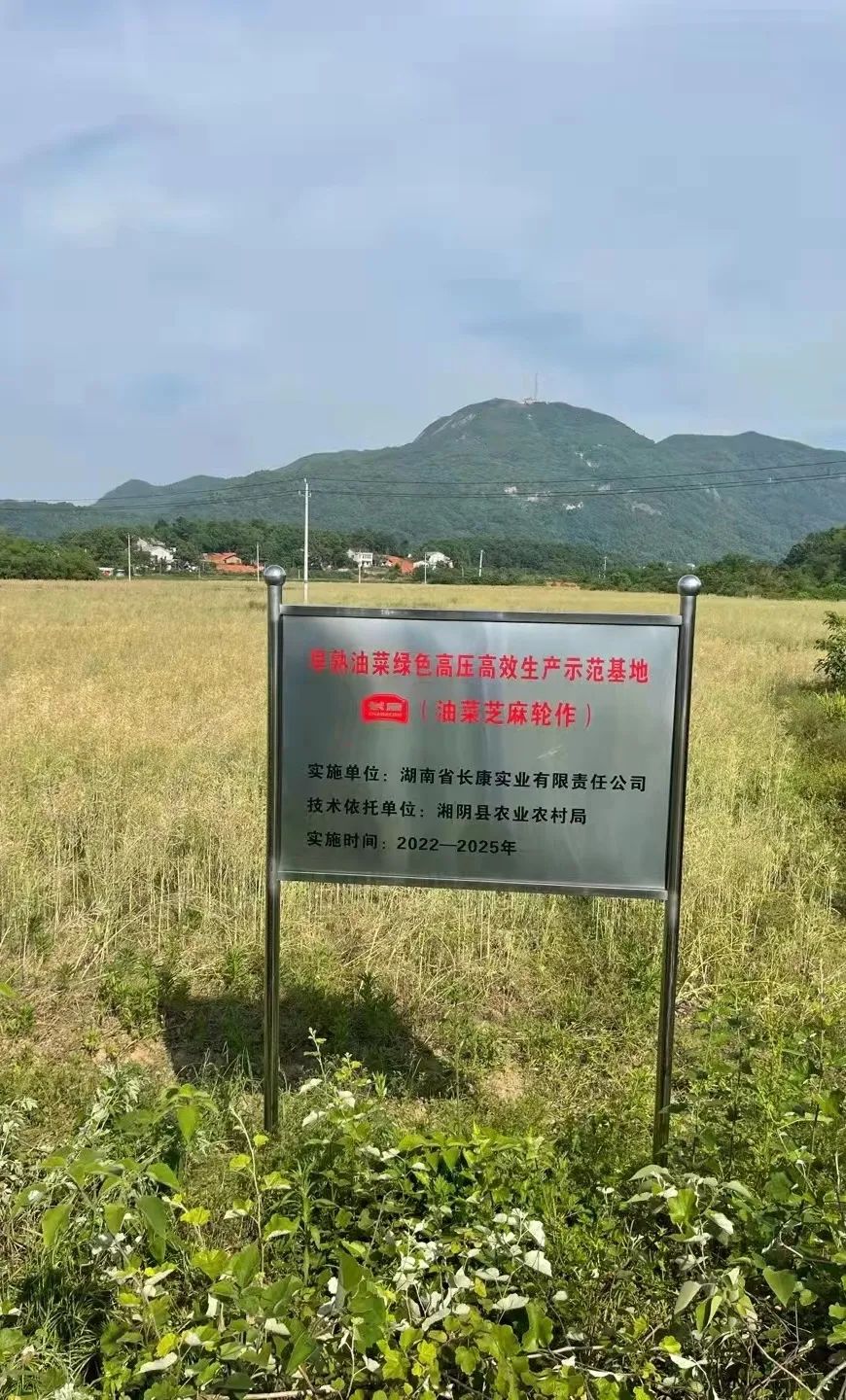 精品久久久久久无码人妻