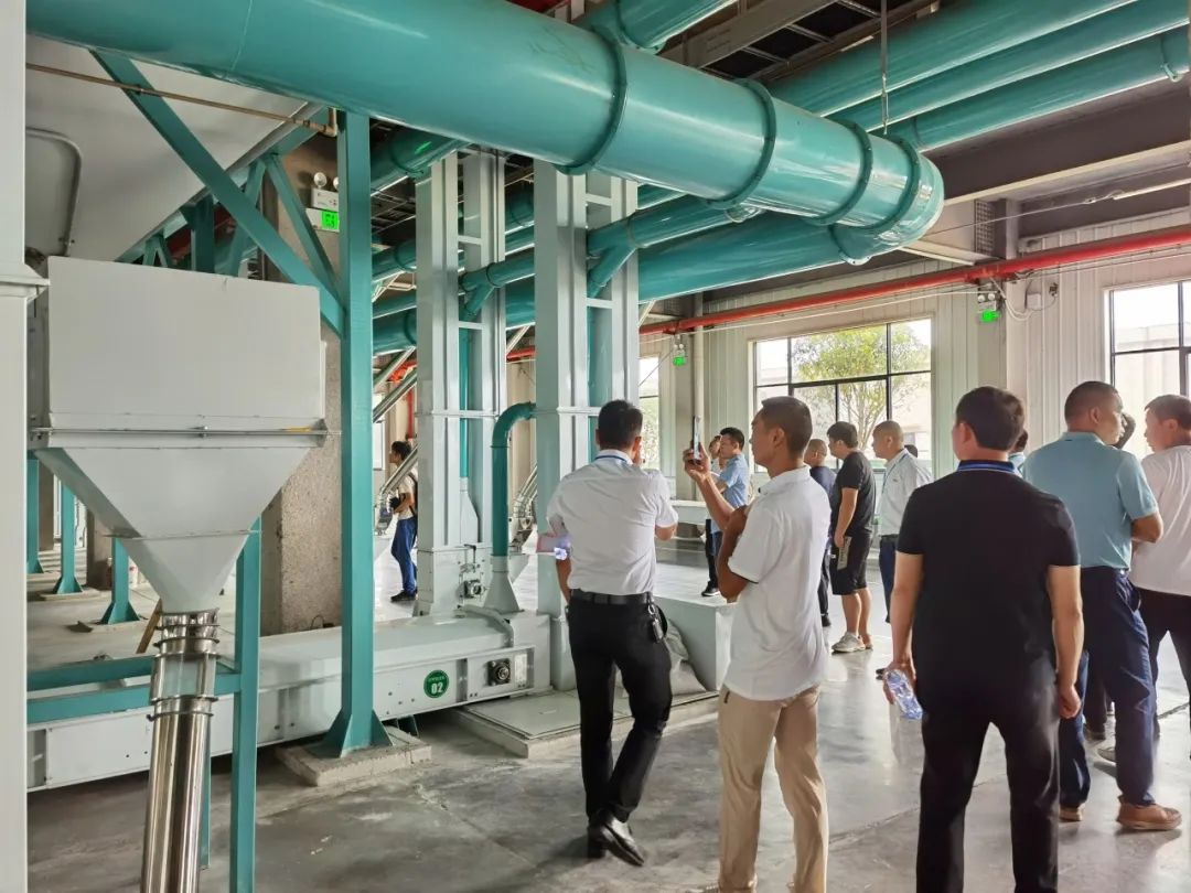 精品久久久久久无码人妻